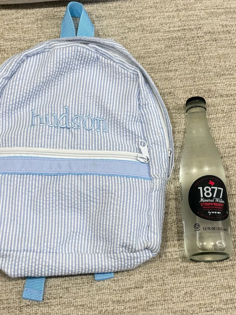 Hudson mint Light Blue Backpack